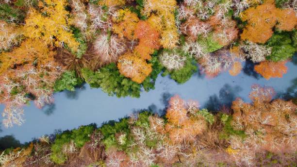istock Colours of the river 1253271508