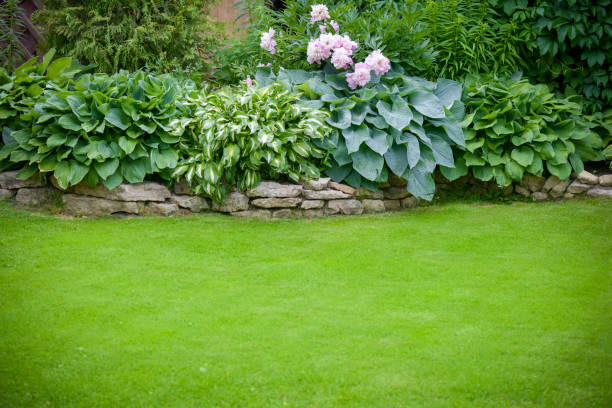 istock Beautiful garden with green grass 1253271601