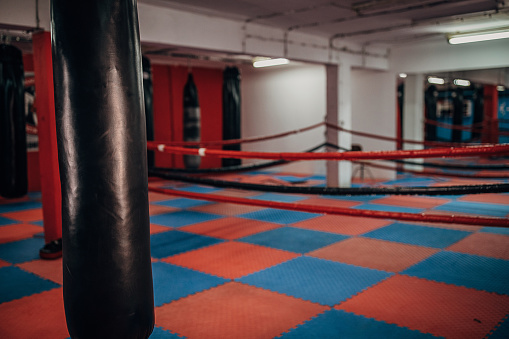 Gym with boxing ring and several punching bags, no people.