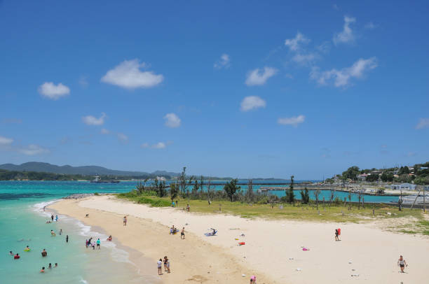 istock Very beautiful blue sea and white sand beach 1253272887