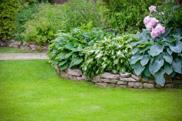 istock Beautiful garden with green grass 1253273505