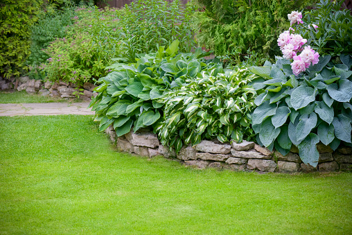 Beautiful garden with green grass