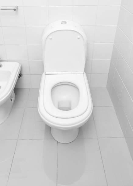 istock Toilet bowl  bathroom 1253278636
