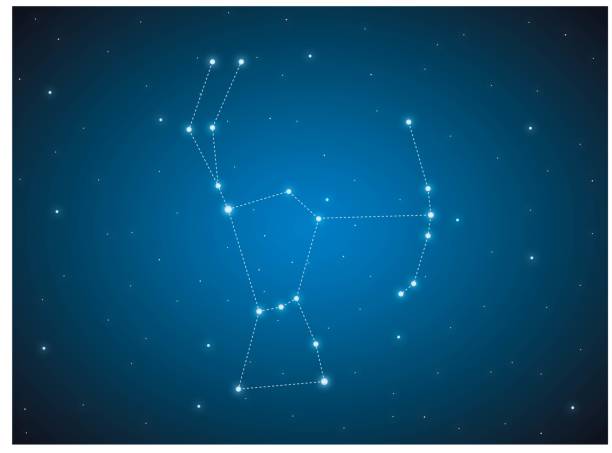 gece gökyüzünde takımyıldız orion - orion bulutsusu stock illustrations