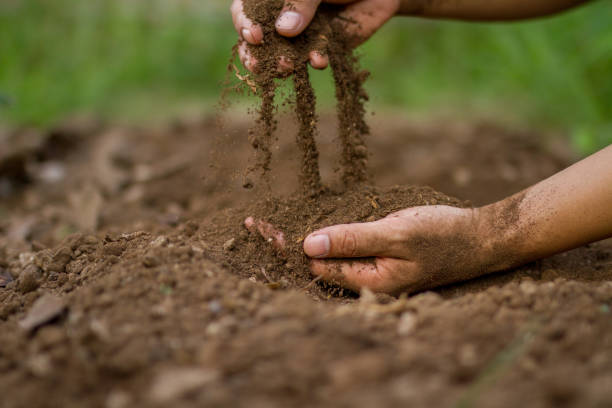 Soil checking Hand pouring soil checking quality for sow or grow a seedling of vegetable. soil sample stock pictures, royalty-free photos & images