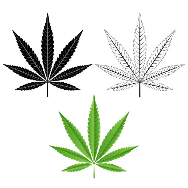 Vector illustration of Cannabis leaf