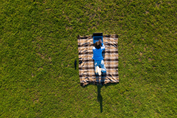 istock Happy young man with laptop relaxing on the grass, view from above 1253290219