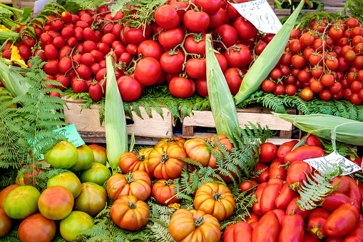 An assortment of fresh tomatoes displayed on a bed of straw at the market