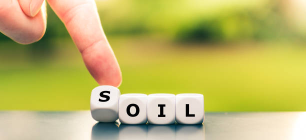 istock Hand turns dice and changes the word Oil to Soil. 1253291479