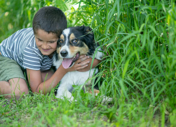 istock Little boy and his dog 1253291750