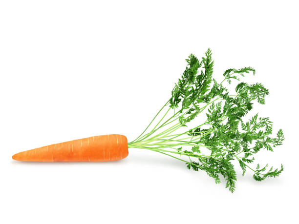 istock Fresh orange carrot with green stem. 1253293378