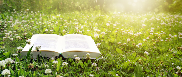 Open book lies on a lawn with clover in the evening sun, holidays and relaxation in the garden during coronavirus pandemic, panoramic nature background, copy space, selected focus, narrow depth of field