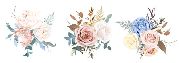 ilustrações de stock, clip art, desenhos animados e ícones de desert dusty brown and yellow rose, beige peony, pastel pink protea, blue ranunculus - sepia toned floral