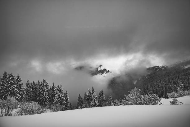 istock Snowy Mountain Forest with Low Cloud B/W 1253298016