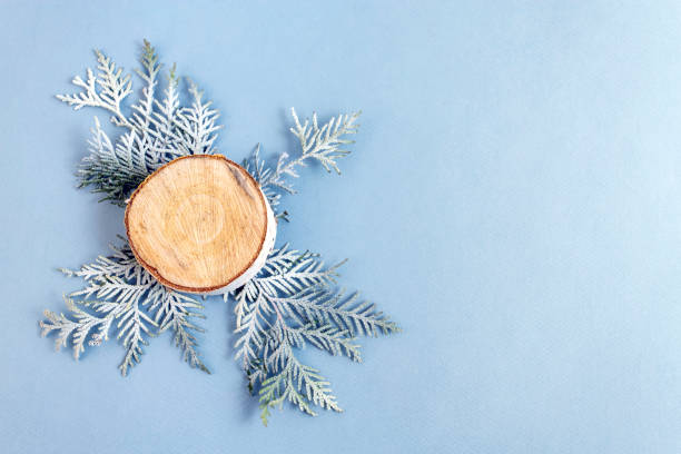 istock Top view on Christmas decoration, green thuja branches on blue background. 1253299129