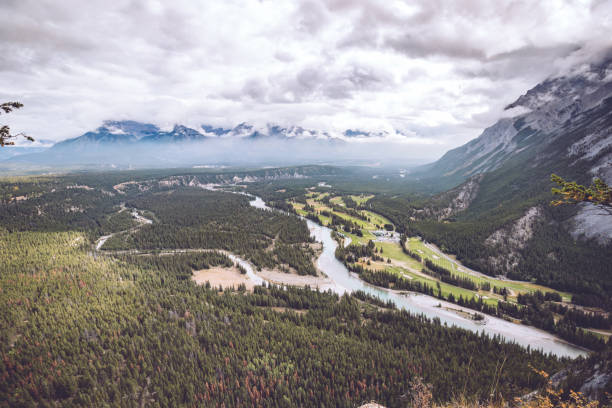 istock View Over Huge Forest with River and Mountains 1253300312