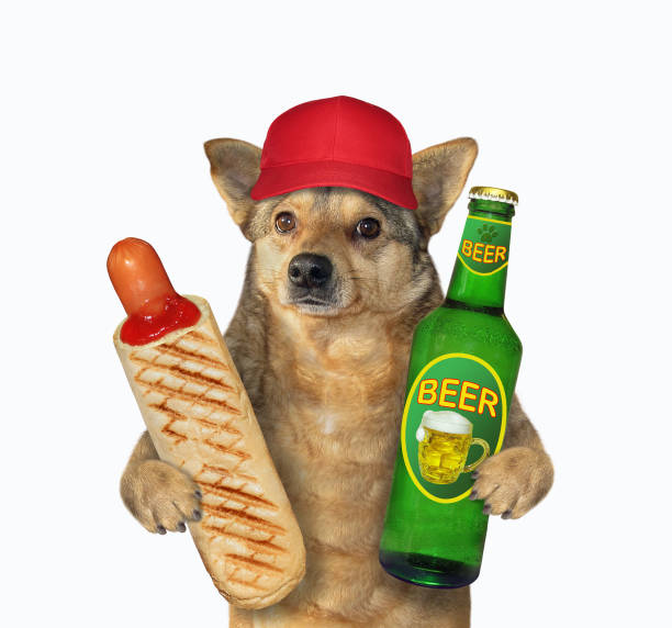 istock Dog likes hot dog with beer 1253300324