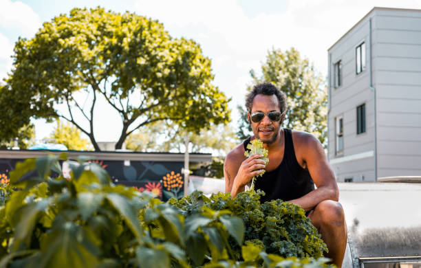 istock Black man gardening in vegetable garden 1253300381