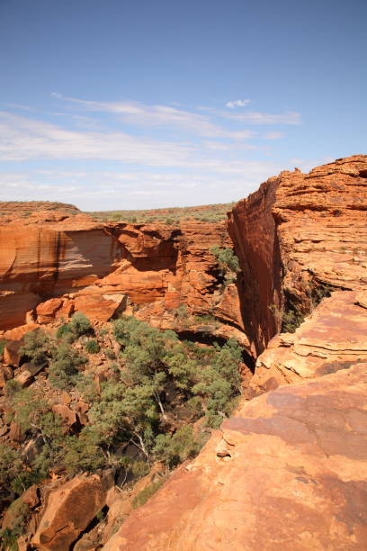 krajobraz królów kanion w outback, czerwone centrum australii - alice springs australian culture desert kings canyon zdjęcia i obrazy z banku zdjęć