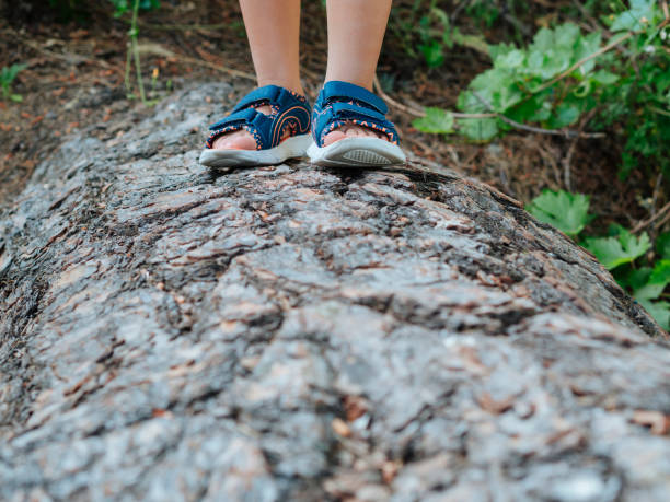 istock Child's feet walking on the tree trunk. 1253300821