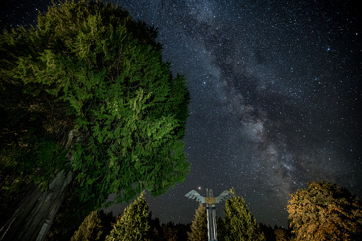 Estrellas de la Vía Láctea sobre árboles y polo de totem photo