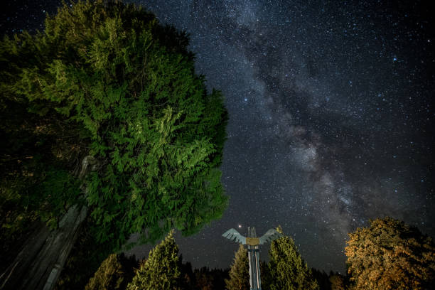 Milky Way Stars Over Trees and Totem Pole