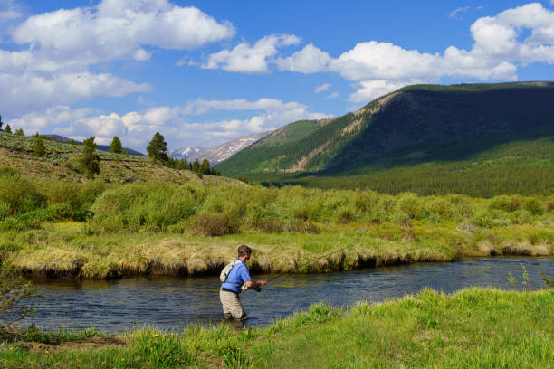istock Man Outdoors Fly Fishing Arkansas River 1253302437