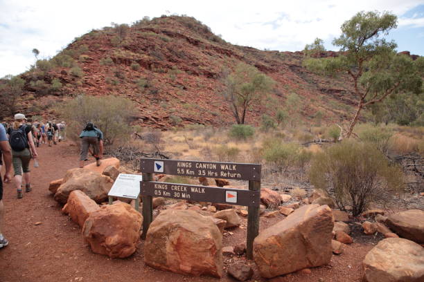 킹스 캐년 국립 공원 아웃백 중앙 오스트레일리아에서 하이킹하는 관광객 - uluru alice springs australia australian culture 뉴스 사진 이미지