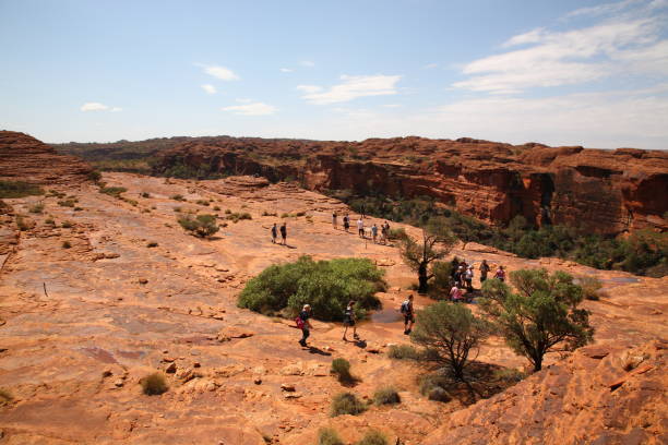 turistas haciendo senderismo en kings canyon en el centro de australia - australian culture hiking australia people fotografías e imágenes de stock
