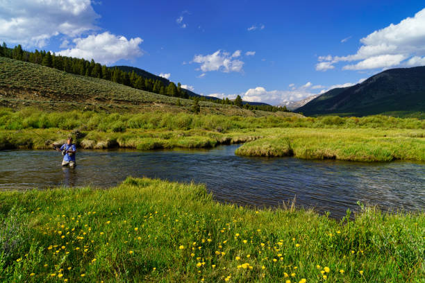 istock Man Outdoors Fly Fishing Arkansas River 1253303246