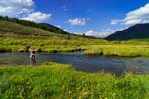 istock Man Outdoors Fly Fishing Arkansas River 1253303452