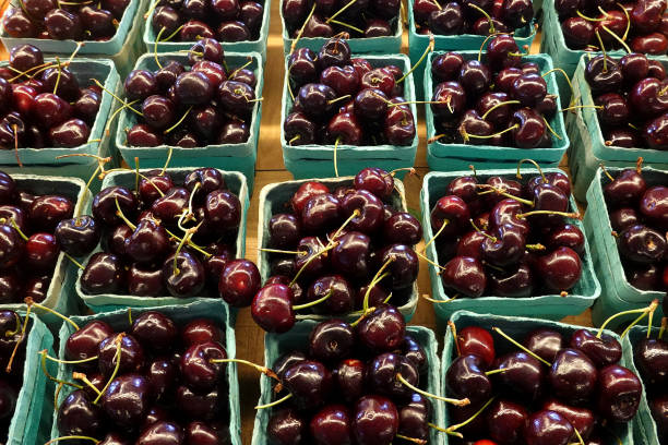 Organic Cherries at Farm Market