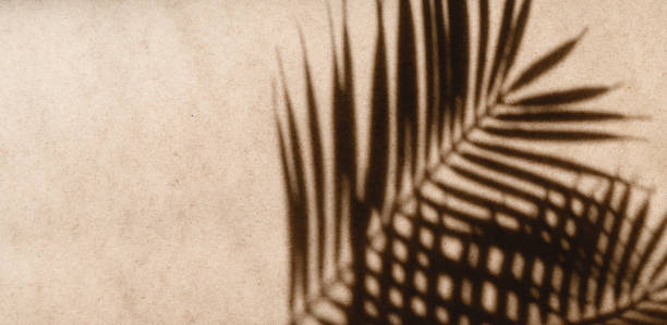 istock Tropics minimalist abstract blurred background of palm leaf shadow over kraft paper. 1253306745