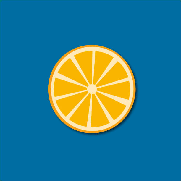 Oranges the fruit Drawing of orange. Orange, blue and yellow. Fruit print with vitamin valencia orange stock illustrations