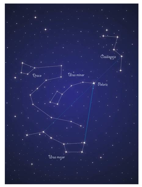 Constellation Ursa major, Ursa minor, Cassiopeia Wallpaper with constellation Ursa major, Ursa minor, Cassiopeia in night sky cassiopeia stock illustrations