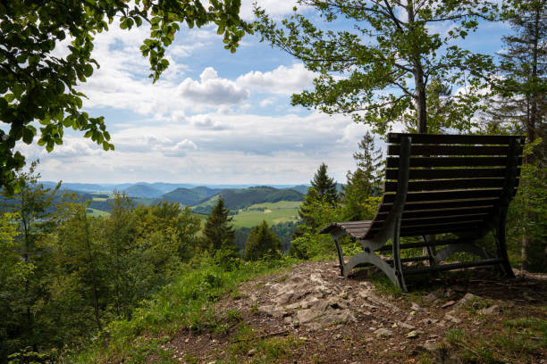 Winterberg, Germany Panoramic image of the landscape close to Winterberg, Sauerland region, Germany winterberg photos stock pictures, royalty-free photos & images