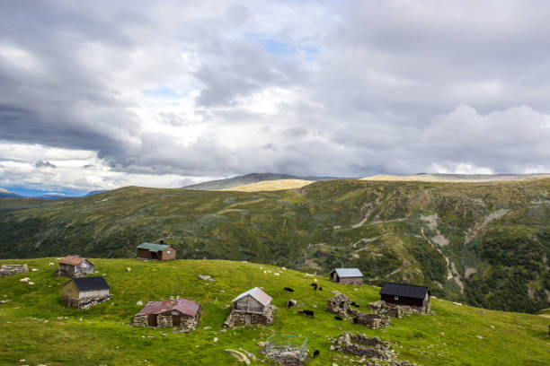 istock Aurlandsfjellet scenic road in Norway 1253315135