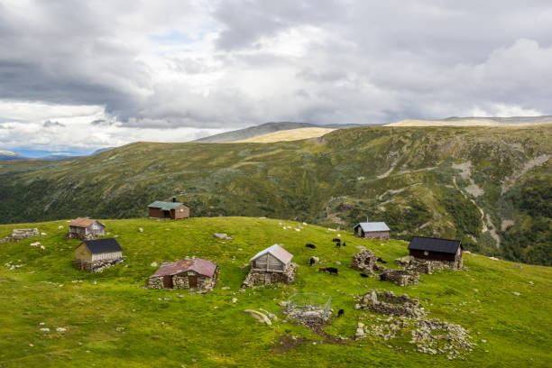 istock Aurlandsfjellet scenic road in Norway 1253315224