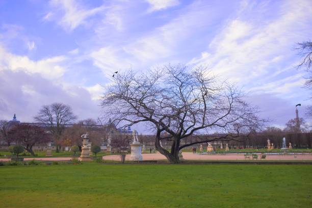 istock Tuileries Garden Paris 1253315755
