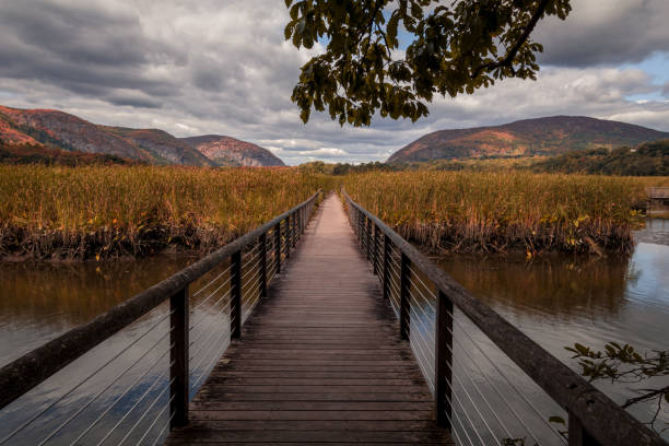 istock Constitution Marsh bridge along the Hudson River, NY, with early fall foliage 1253316521