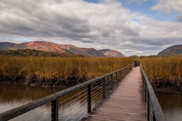 Constitution Marsh bridge along the Hudson River, NY, with early fall foliage