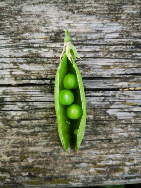 Peas