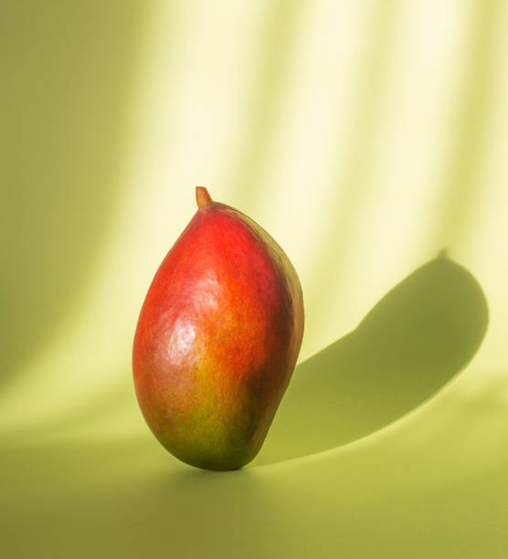 Fresh mango on a pastel green background with shadows stock photo