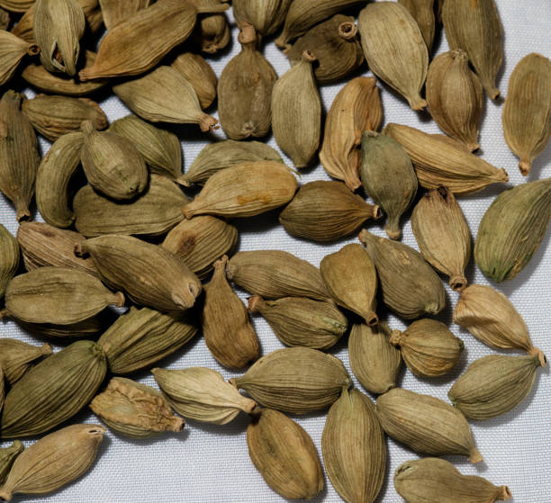 istock Cardamom in Isolated white background 1253323014