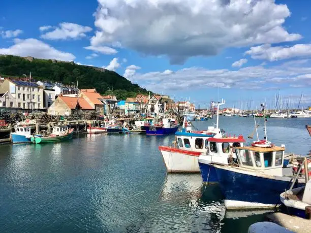 Boats moored in harbour.