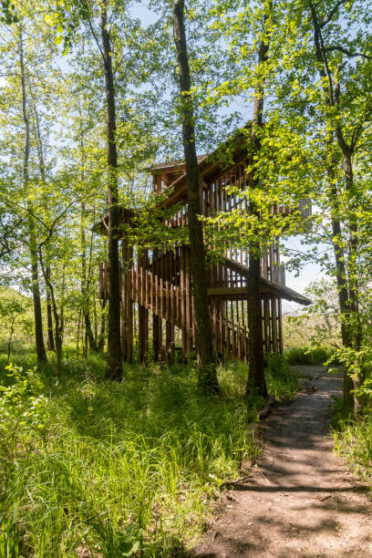 istock Observation tower Masurian Landscape Park in Poland. 1253323322