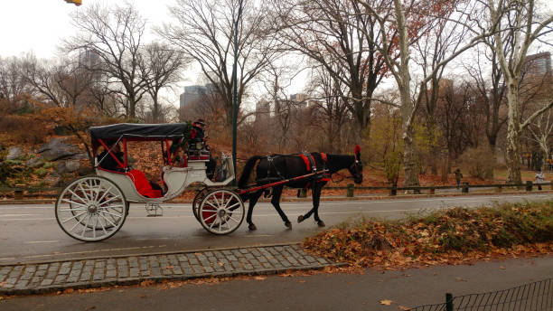 New York City, United States - August 24, 2017: In Central Park, in summer, a bike taxi, a carriage, and people walking.