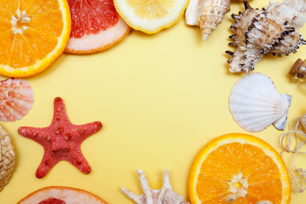 летняя рамка цитрусовых и ракушек с копировальной прометью. концепция отдыха, лета, отдыха, путешествий - shell starfish orange sea стоковые фото и изображения