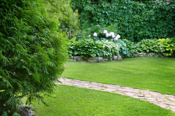 istock Beautiful garden with green grass 1253327184