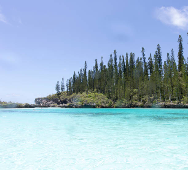 istock The beautiful natural poll at Ile des Pins 1253336200